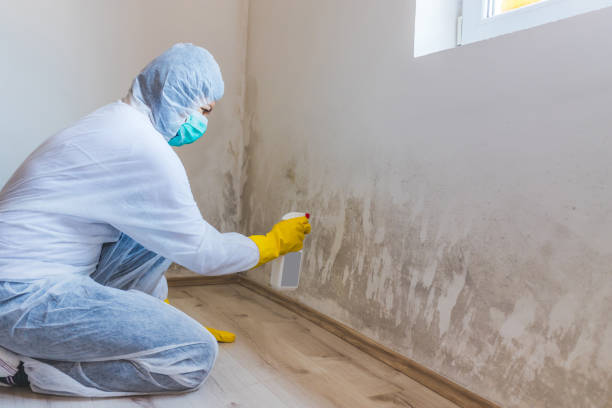 Hvac And Air Duct Mold Remediation inspection of HVAC system in Bradley Beach